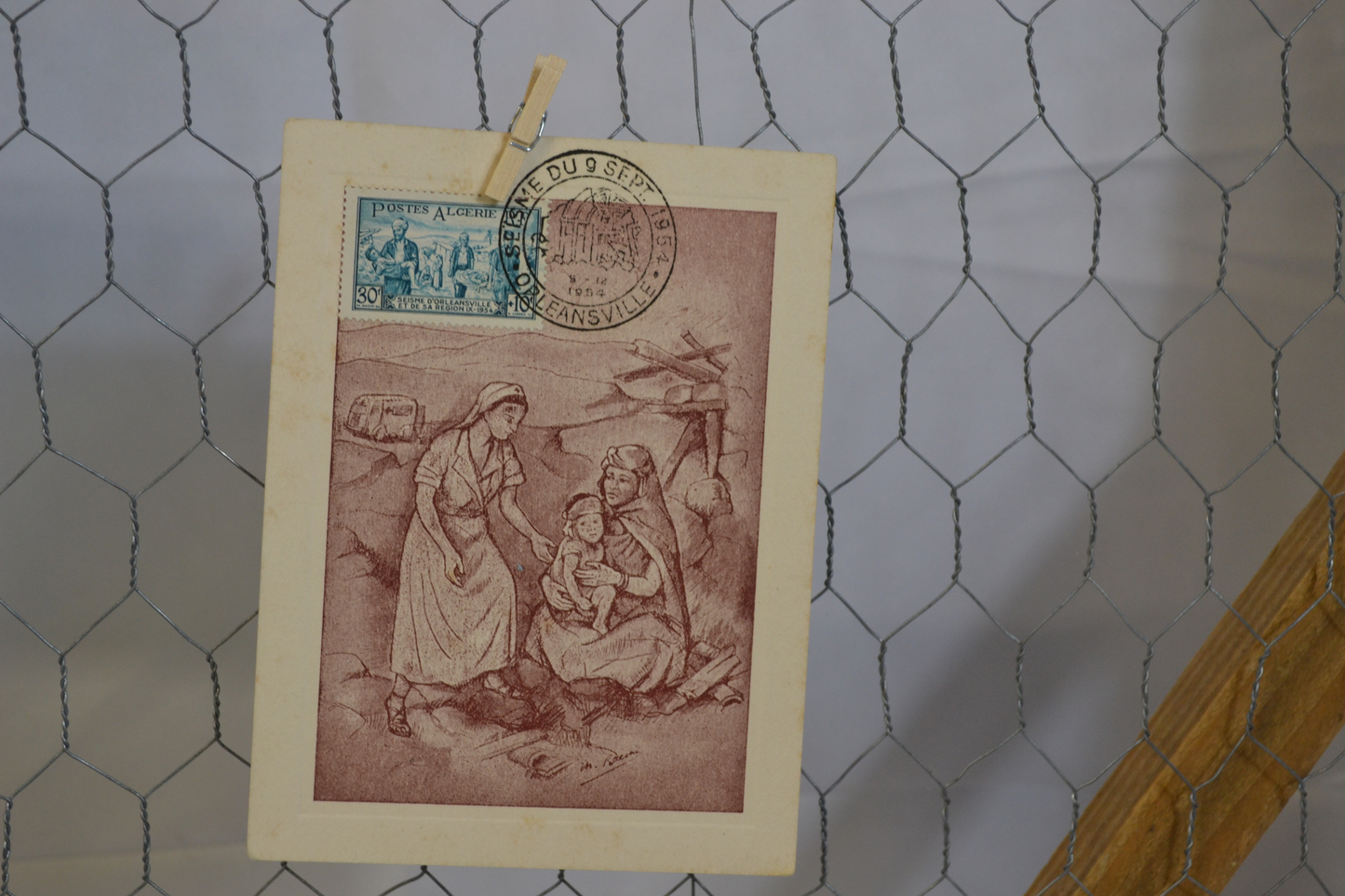 Cadre grillage Safia - 20€