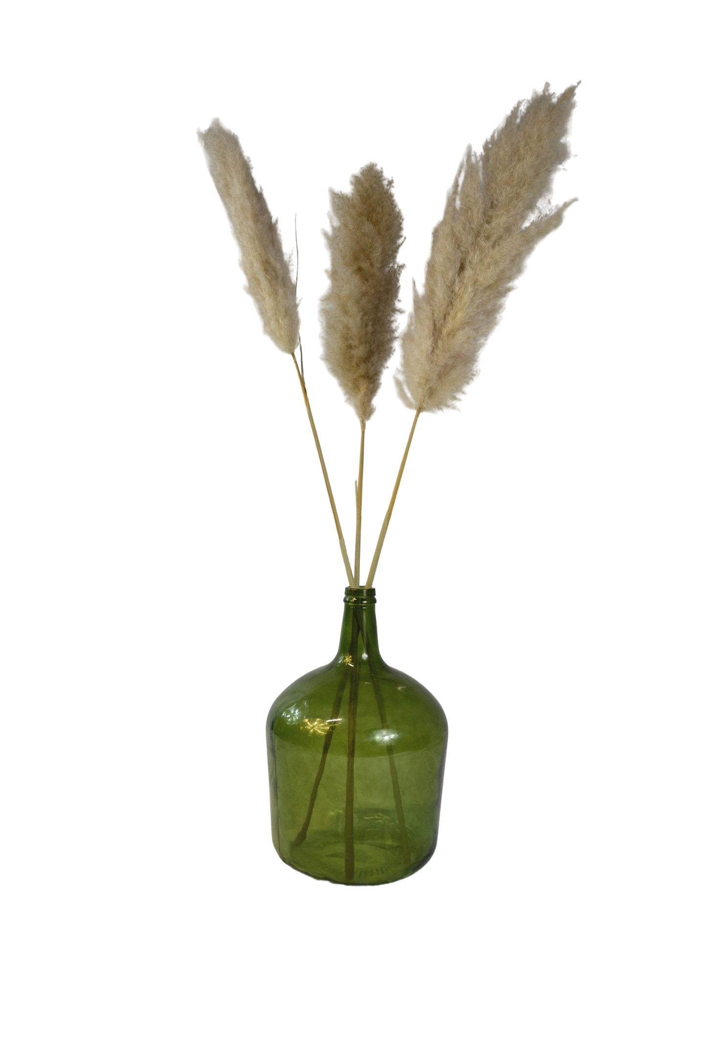 Vase Amine – Grande